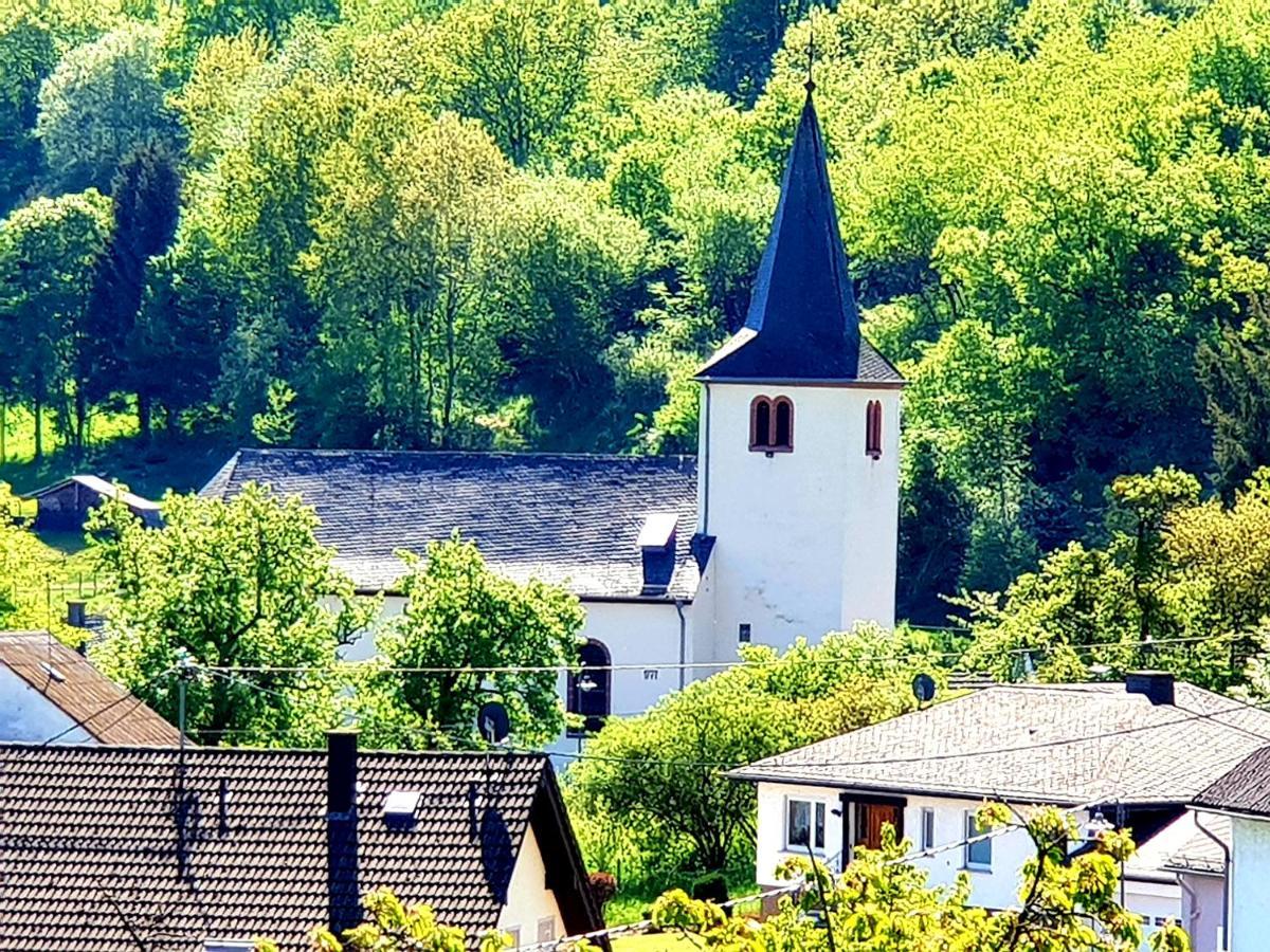 River Mosel Holiday Homes, Meerfeld Studio With A Lake View 外观 照片