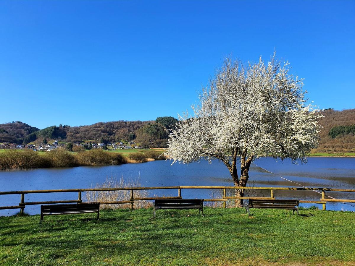 River Mosel Holiday Homes, Meerfeld Studio With A Lake View 外观 照片