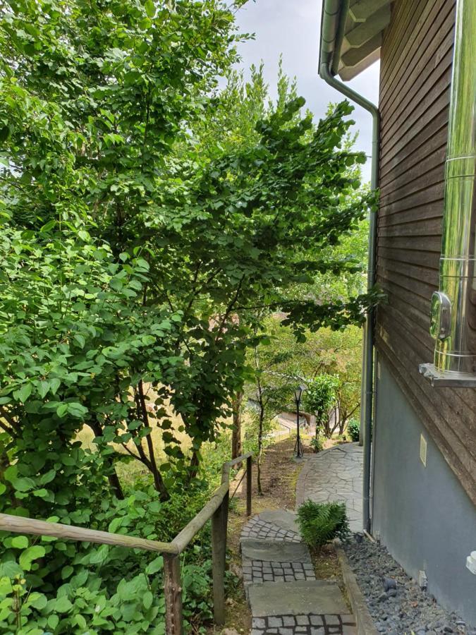 River Mosel Holiday Homes, Meerfeld Studio With A Lake View 外观 照片