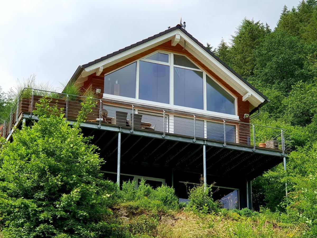 River Mosel Holiday Homes, Meerfeld Studio With A Lake View 外观 照片