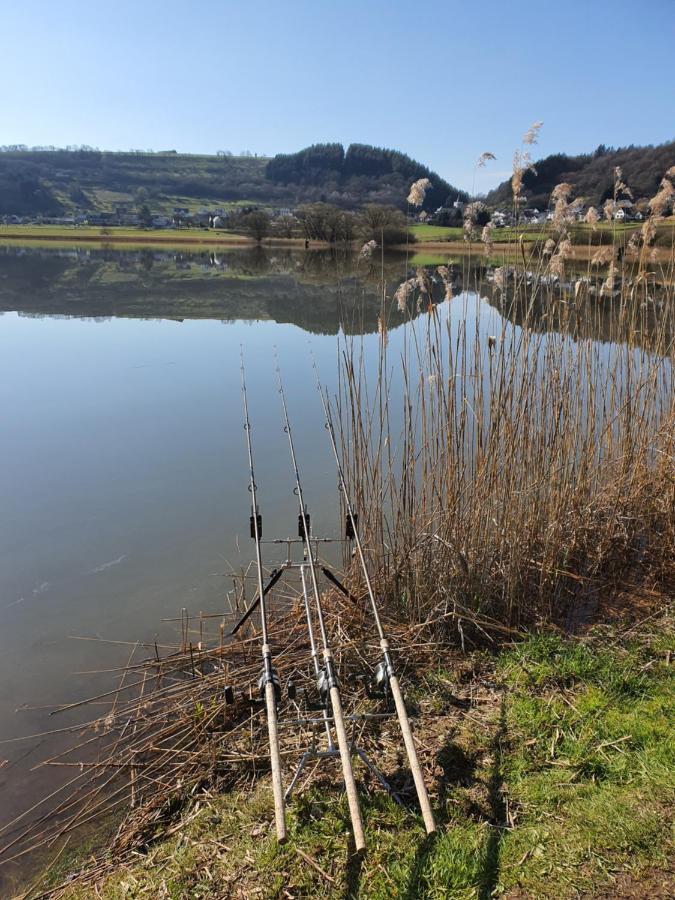 River Mosel Holiday Homes, Meerfeld Studio With A Lake View 外观 照片