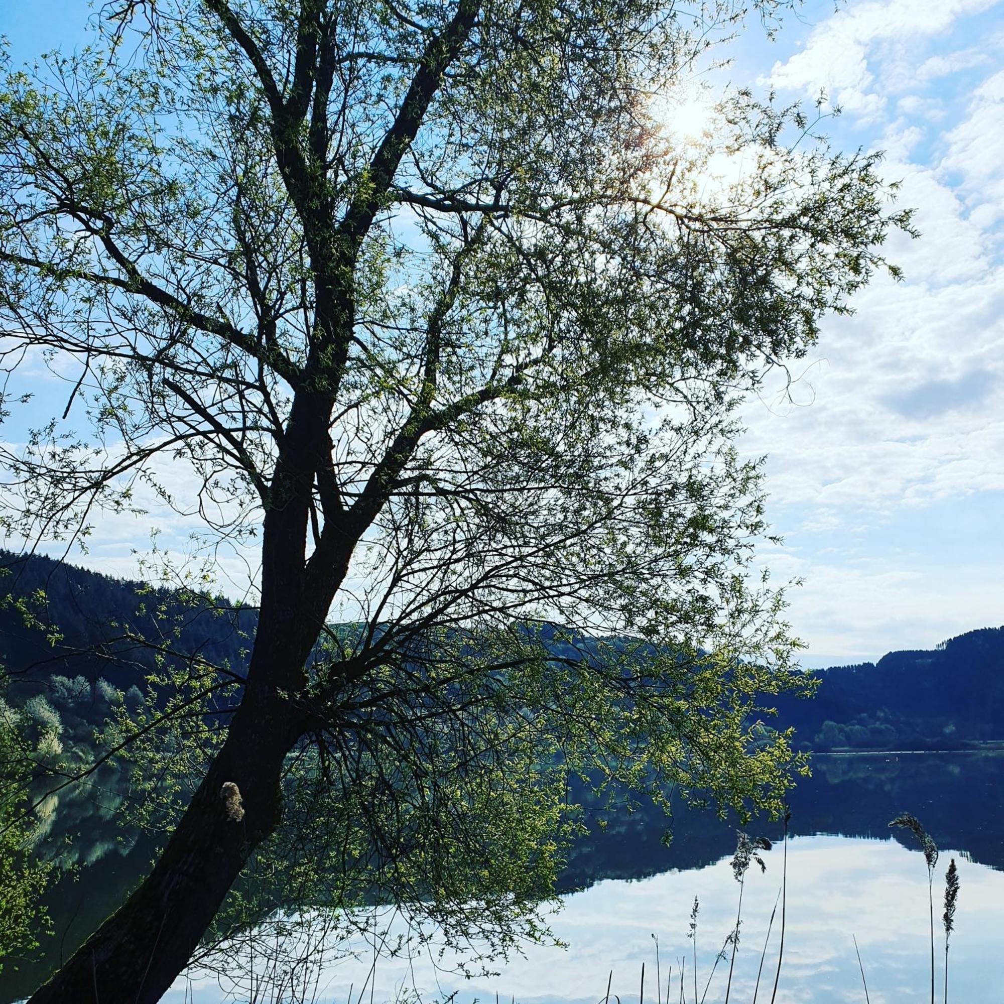 River Mosel Holiday Homes, Meerfeld Studio With A Lake View 外观 照片