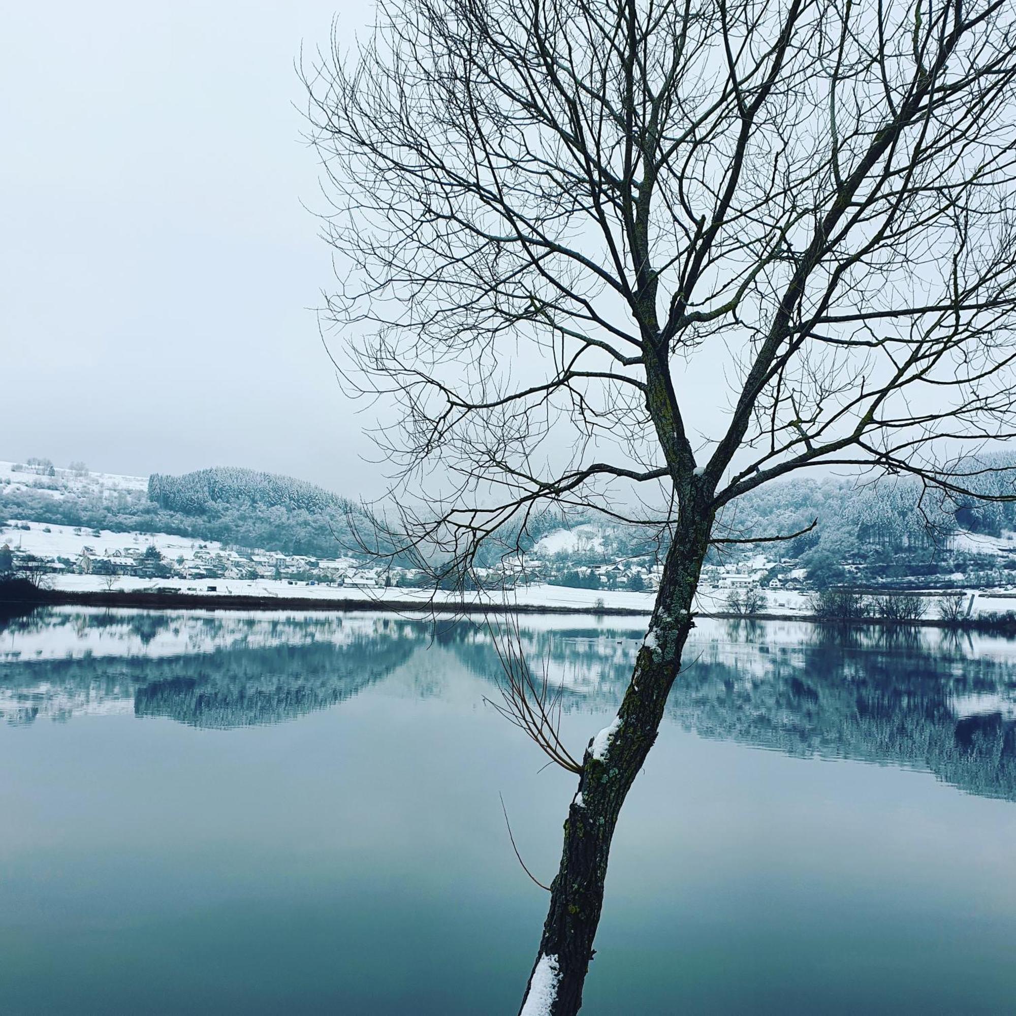 River Mosel Holiday Homes, Meerfeld Studio With A Lake View 外观 照片